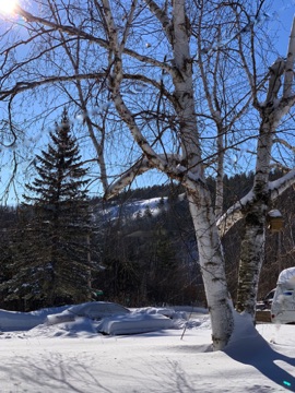 Ski hill from the driveway