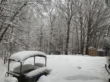 Back yard (looking East)