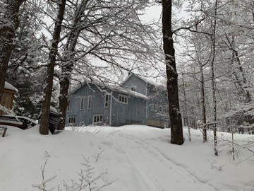 Back yard (looking West)